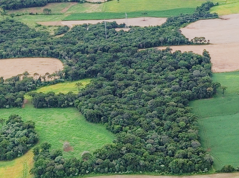 natureza